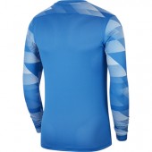 Bluza Nike PARK IV TW-TRIKOT CJ6066-463
