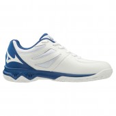 Mizuno LIGHTNING STAR Z5 Pantofi sport cod V1GD1903-21