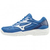 Pantofi sport Mizuno CYCLONE SPEED 2 cod V1GD1910-28 C