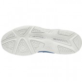 Pantofi sport Mizuno CYCLONE SPEED 2 cod V1GD1910-28 C
