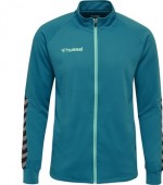 Trening HUMMEL Authentic 205366-2114
